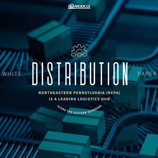 Distribution Market Insights Report