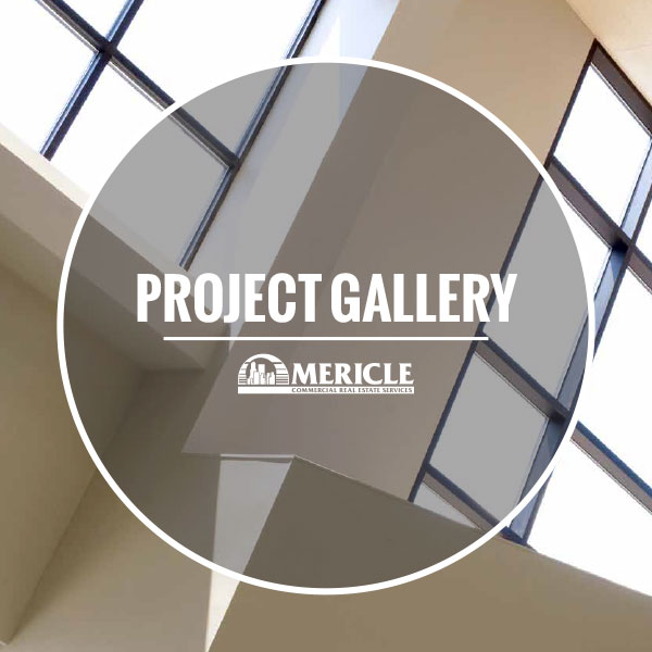 Mericle Project Gallery PDF