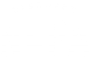 DiscoverNEPA logo